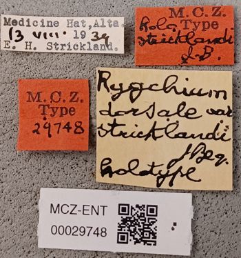 Media type: image;   Entomology 29748 Aspect: labels
